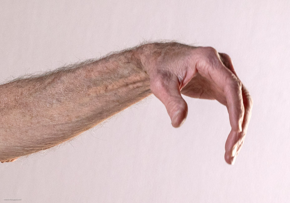 _MG_4295-HandAtRest